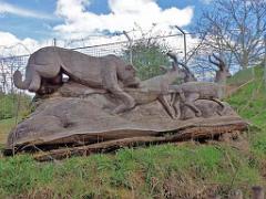 149 BIO PARC DE DOUE LA FONTAINE 7- 2016_000030